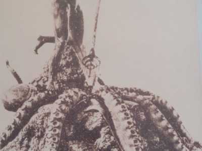 Il monumento rappresentava eroicamente un giovane muscoloso dai capelli ricci e senza vestiti, con un ginocchio appoggiato su una roccia e una lunga fiocina tra le mani, impegnato a sottomettere una grande piovra avvinghiata alla scogliera
